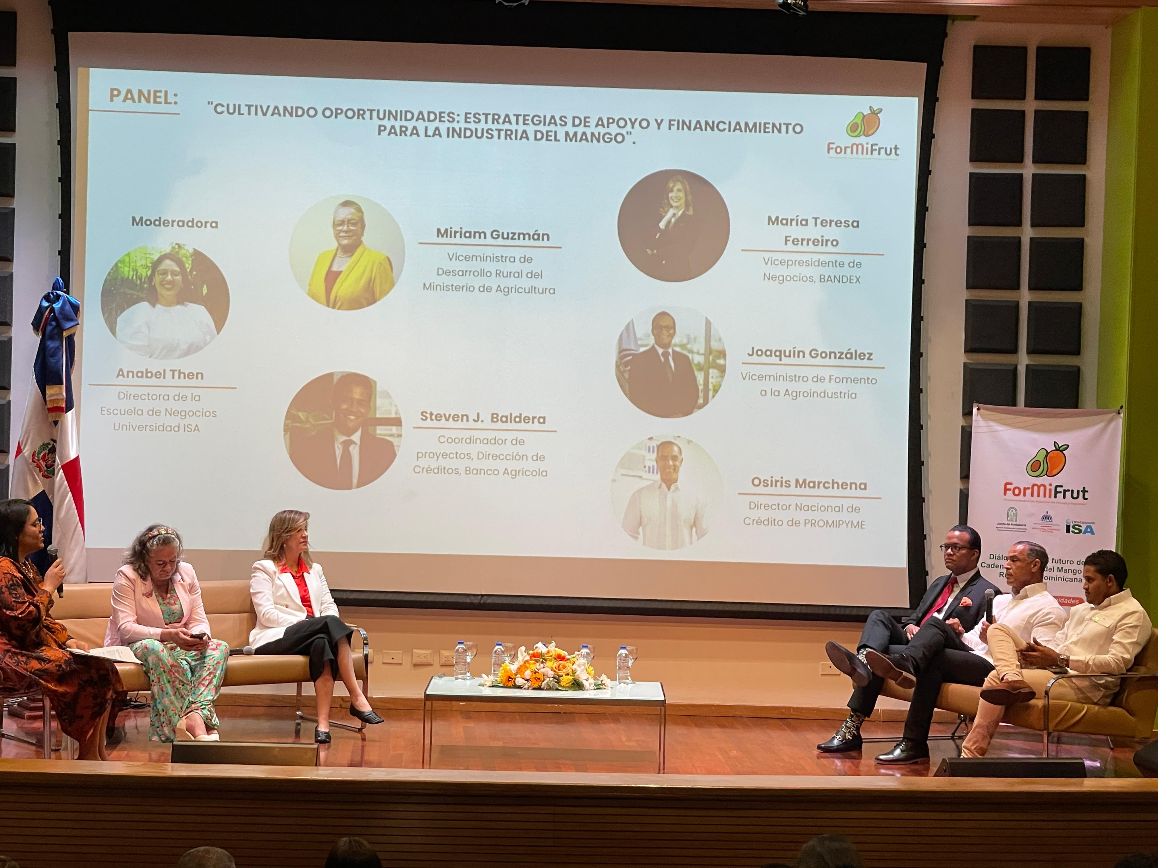 Panel En El Centro Cultural Perello, Bani